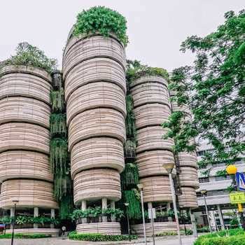 Best universities in Singapore for international students